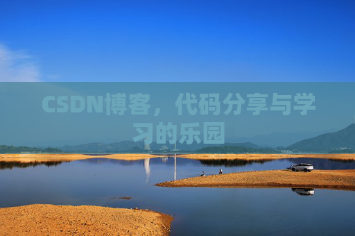 CSDN博客，代码分享与学习的乐园